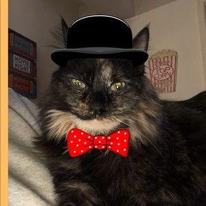 Meet your Posher, Sherry